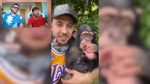Son REACTS to his Dad's CRINGE TikToks! 😂