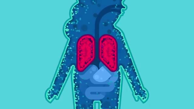 The Coronavirus Explained & What You Should Do