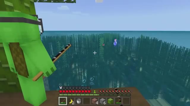 Minecraft But There Is Only One RAFT