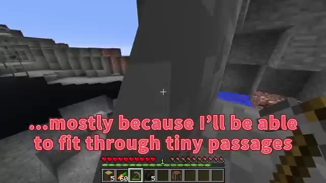 Tiny & Giant Speedrunner VS Hunter in Minecraft